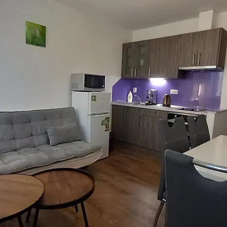 Mcvitek Apartmán Sušice